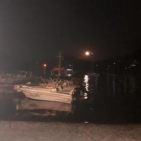 Passiflora 니드리